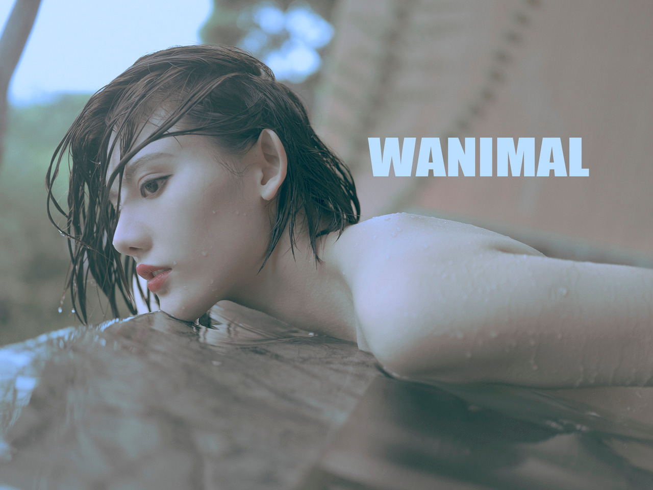 WANIMAL王动-人体艺术写真摄影合集 [75GB]-游戏论
